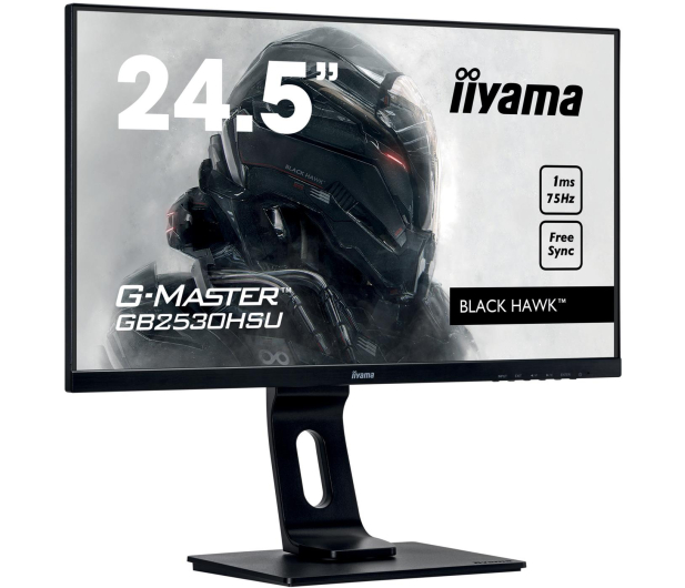 iiyama G-Master GB2530HSU Black Hawk - 430746 - zdjęcie 5